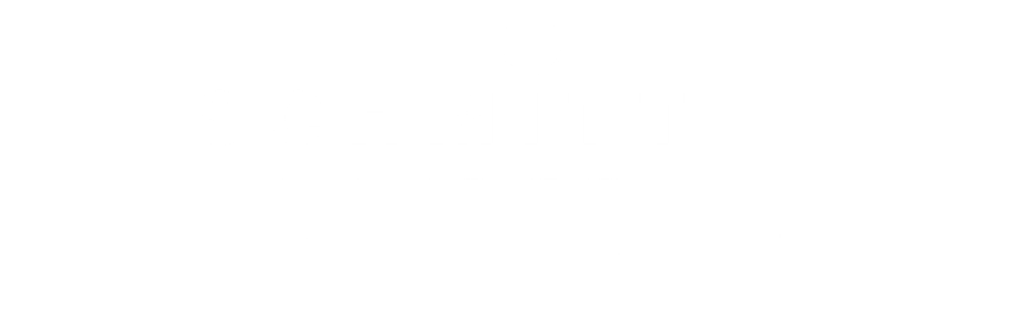 Schmitt & Partner