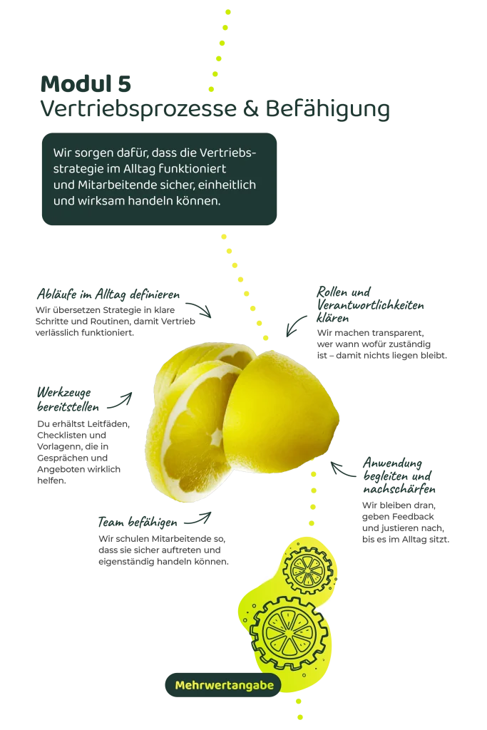 Modul 5: Vertriebsprozesse und Befähigung – Abläufe, Werkzeuge und Teamtraining